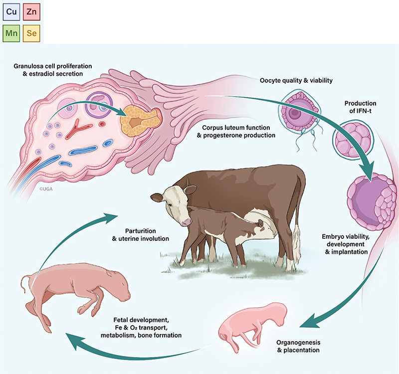 Figure 3.