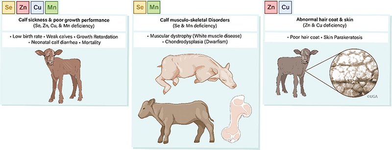 Figure 5.