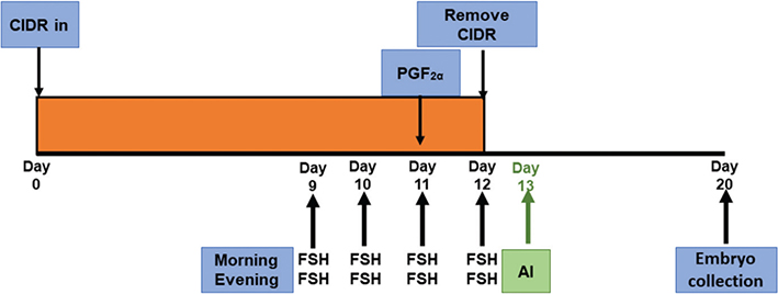 Figure 6.