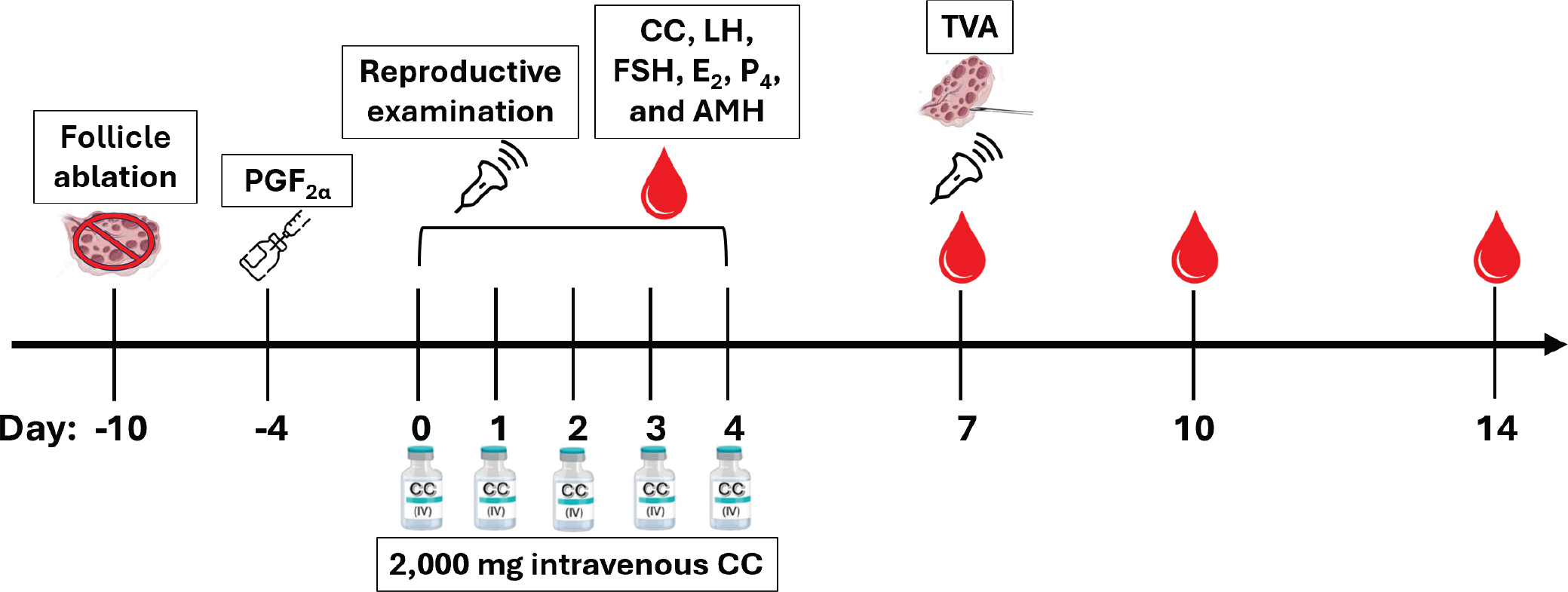 Reproductive hormones, antral follicle count, and transvaginal oocyte  aspiration outcomes in mares receiving intravenous clomiphene citrate |  Clinical Theriogenology