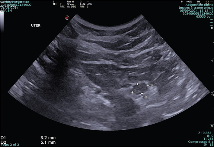 Figure 1.