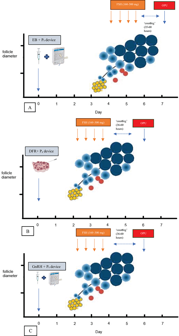 Figure 2.