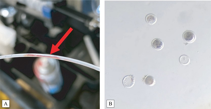 Figure 6.