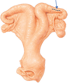 Figure 5.