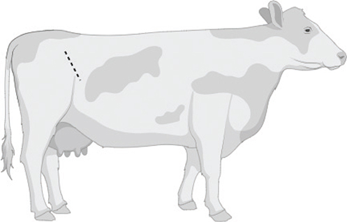 Figure 7.