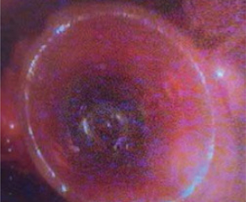 Figure 3.
