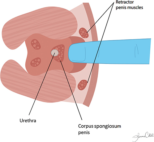 Fig. 6.