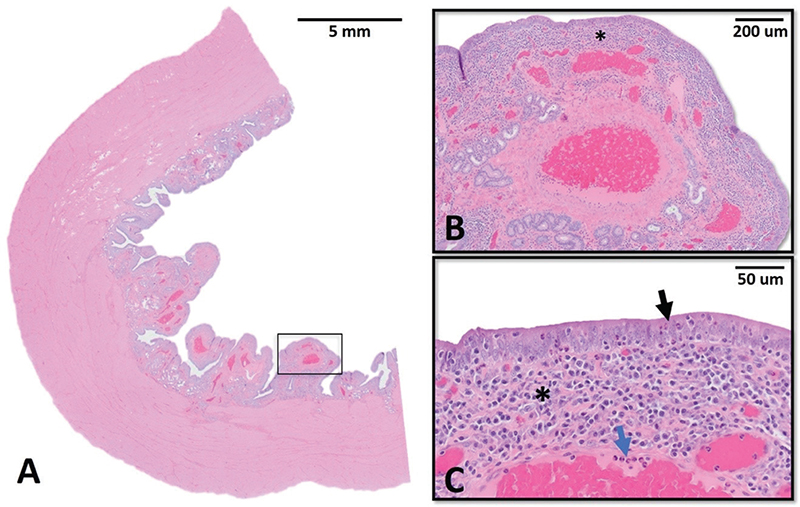 Fig. 3.